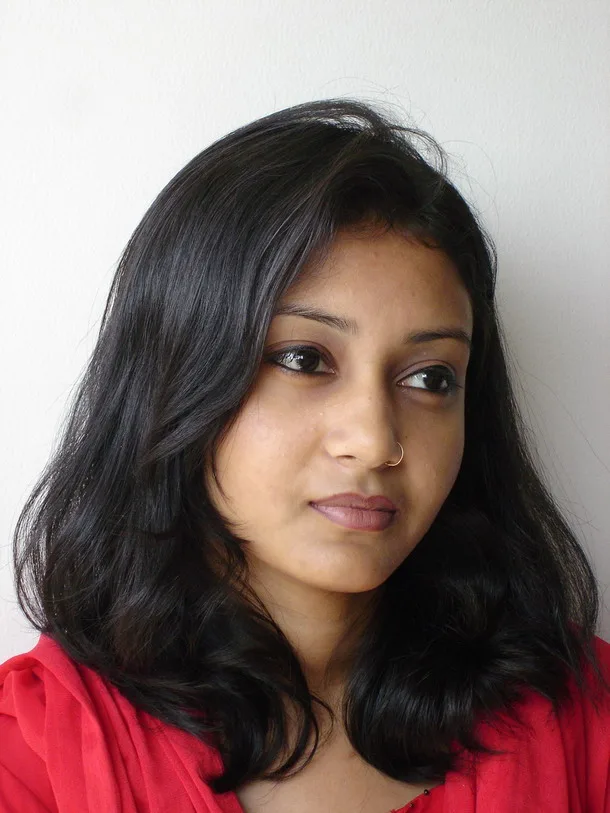 sultana farzana author nidbd.io